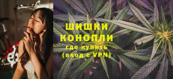 прущая мука Инсар