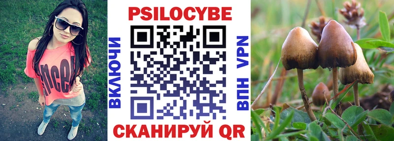 Псилоцибиновые грибы мицелий  где можно купить   гидра ССЫЛКА  Кулебаки 